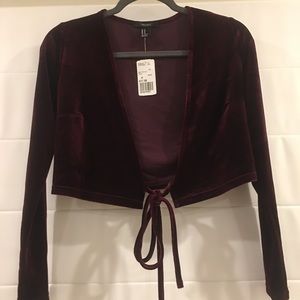 Forever 21 Velvet Cropped Long Sleeve